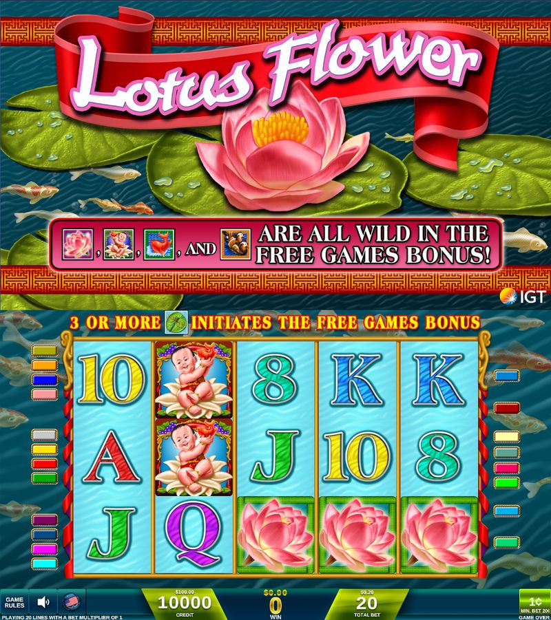 Lotus Flower base-game reels with five reels and three rows